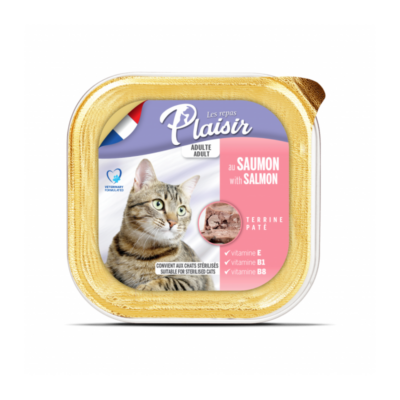 Pat Chat Au SAUMON 100g Les Repas Plaisir