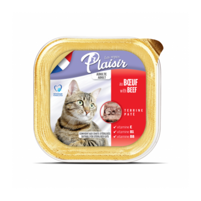 Pat Chat Au BOEUF 100g Les Repas Plaisir